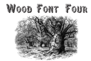 Wood Font Four: Crafting a Natural Brand Voice